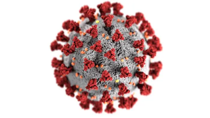 A Statement on the Coronavirus (COVID-19)
