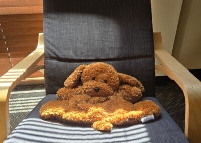 Weighted Stuffed animal for sensory regulation